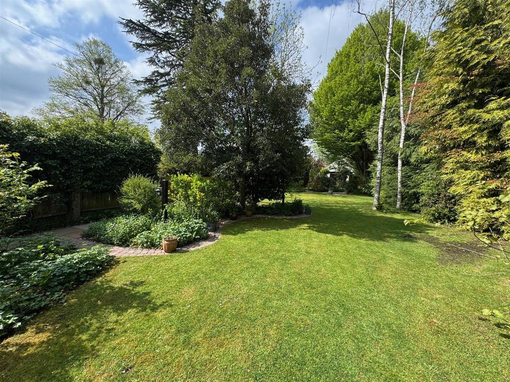 Rear garden.jpg
