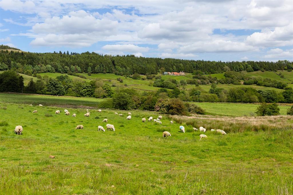 Hill Cottages-02.jpg