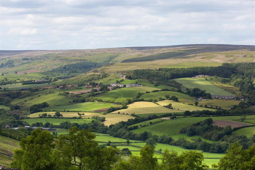 Hill Cottages-03.jpg