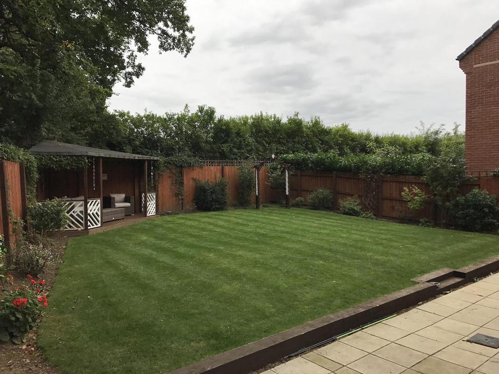 Back Garden