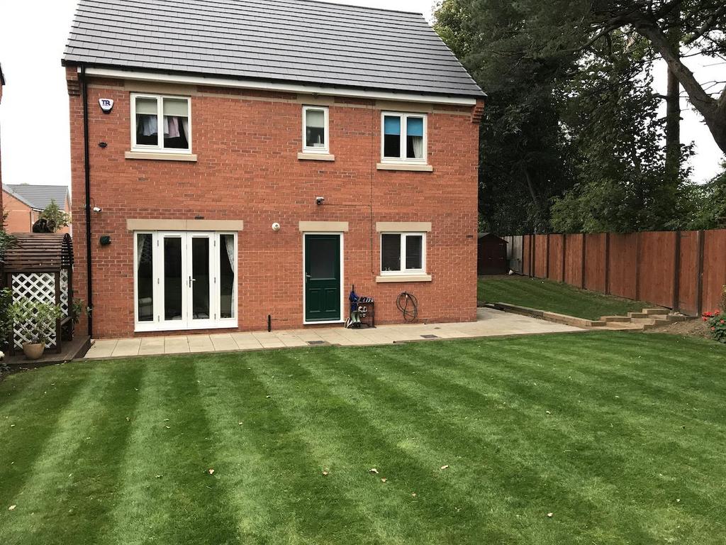 Back Garden
