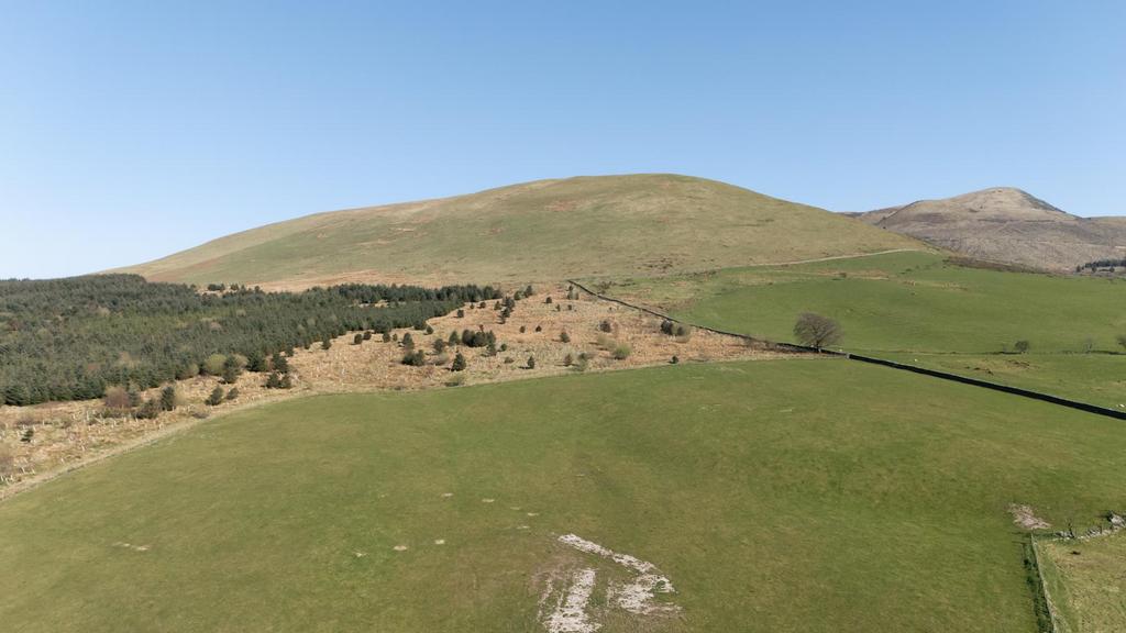 DJI 20250404155436 0049 D.jpg