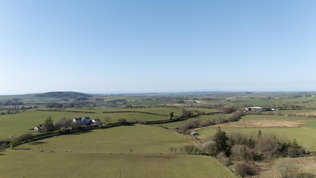 DJI 20250404155521 0054 D.jpg