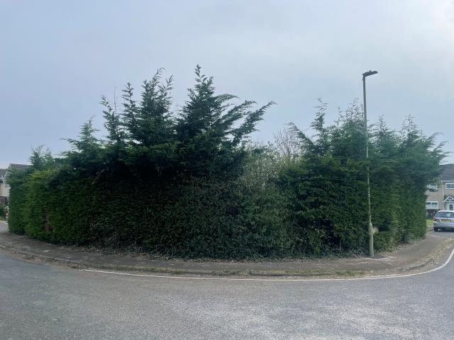 Plot