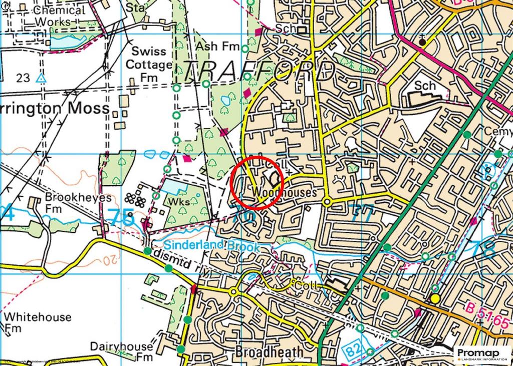 Town Plan
