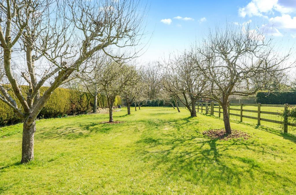 Orchard