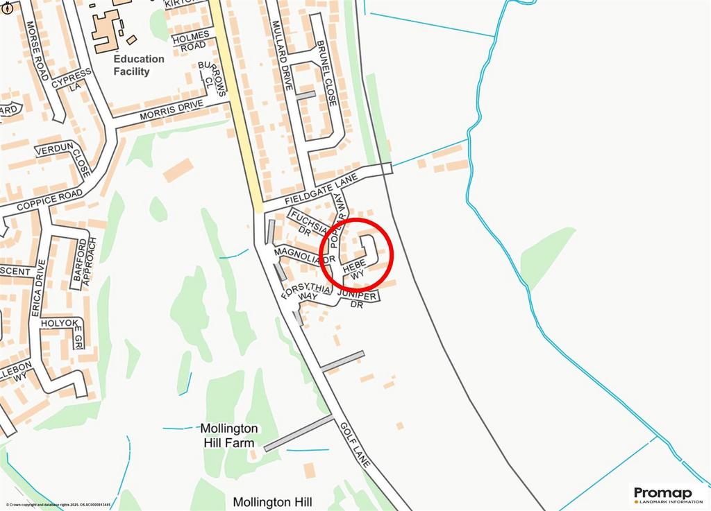 Promap-3138571-3235986-750400-1.jpg
