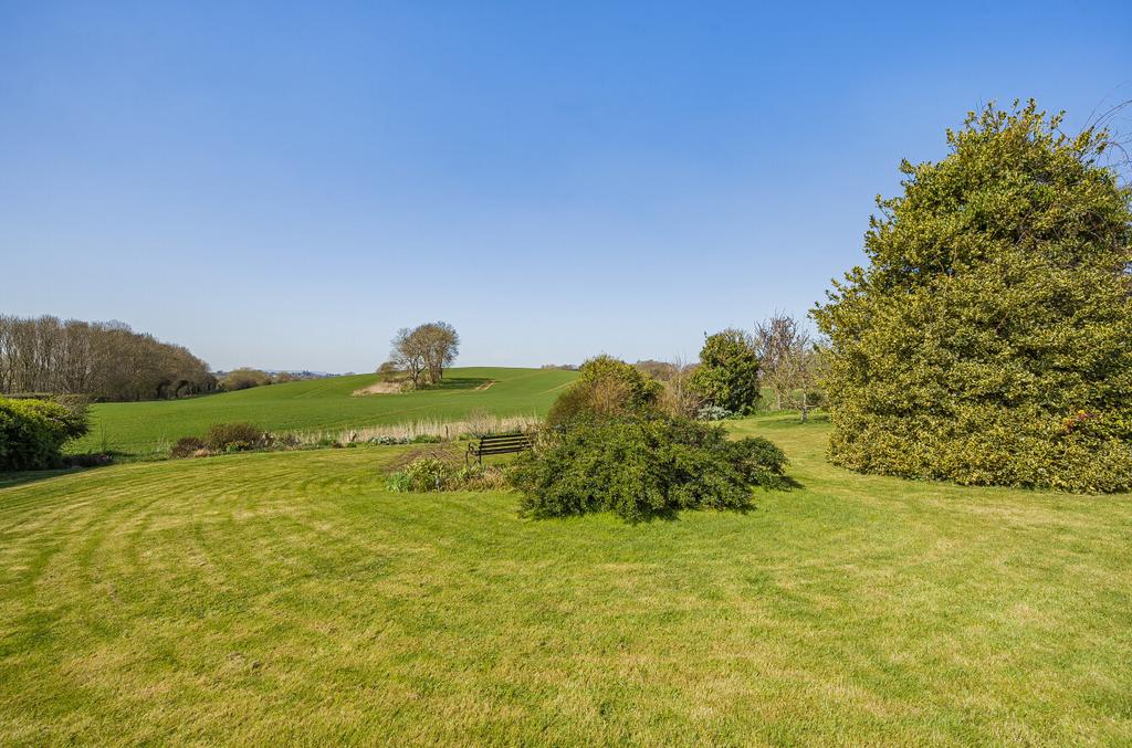 Garden and view