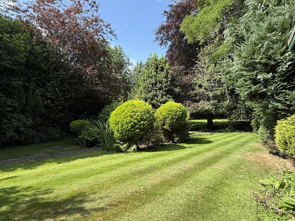 Rear gardens
