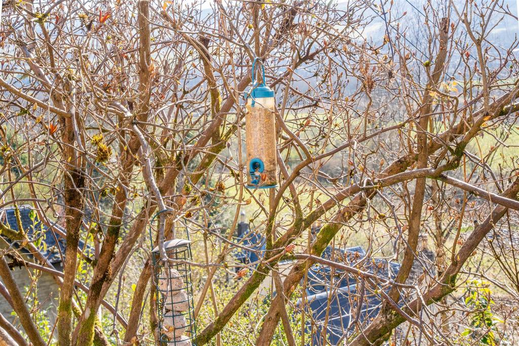 DSC01902-HDR.jpg