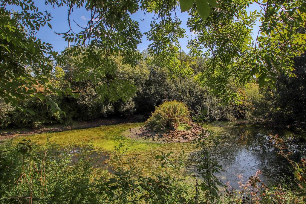 Pond