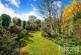 DSC01557.jpg