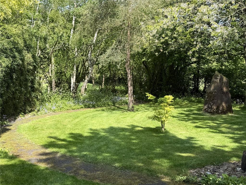 Picture 22