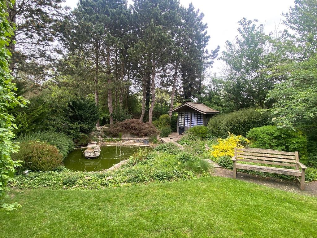 Picture 27