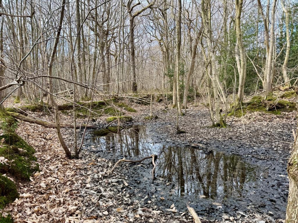 Seasonal lake