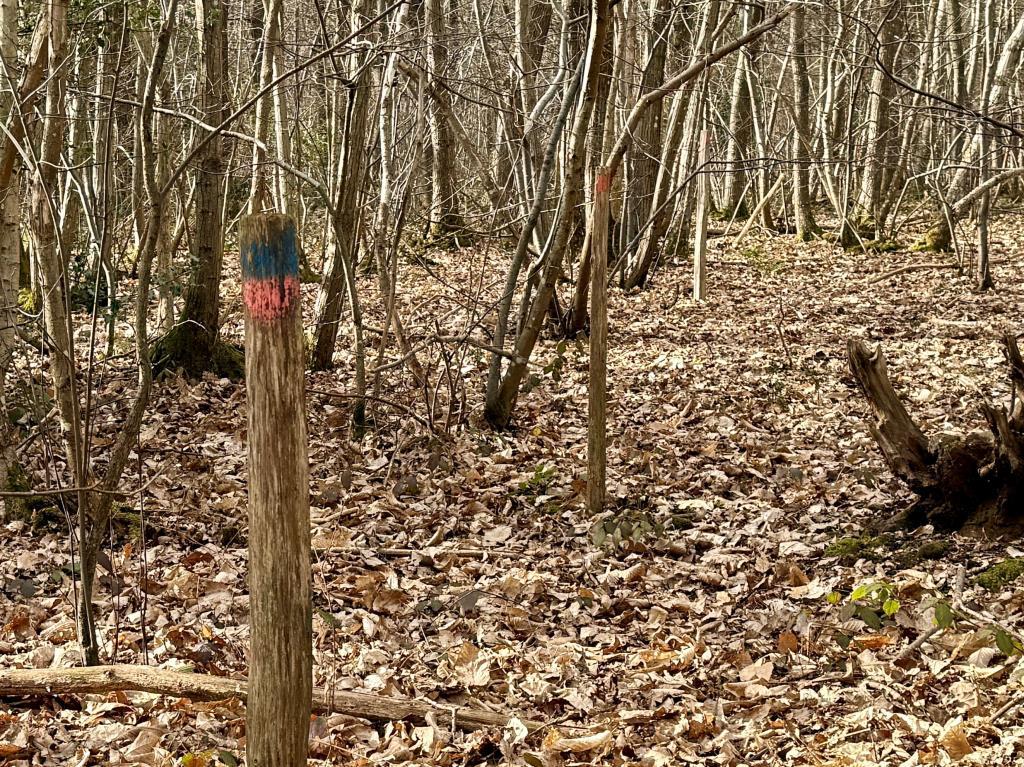 Boundary markers