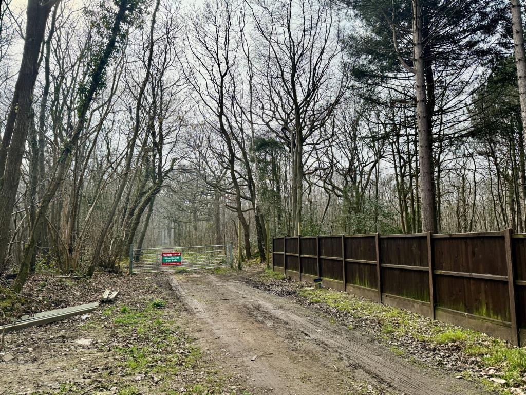 Gated access to woodland