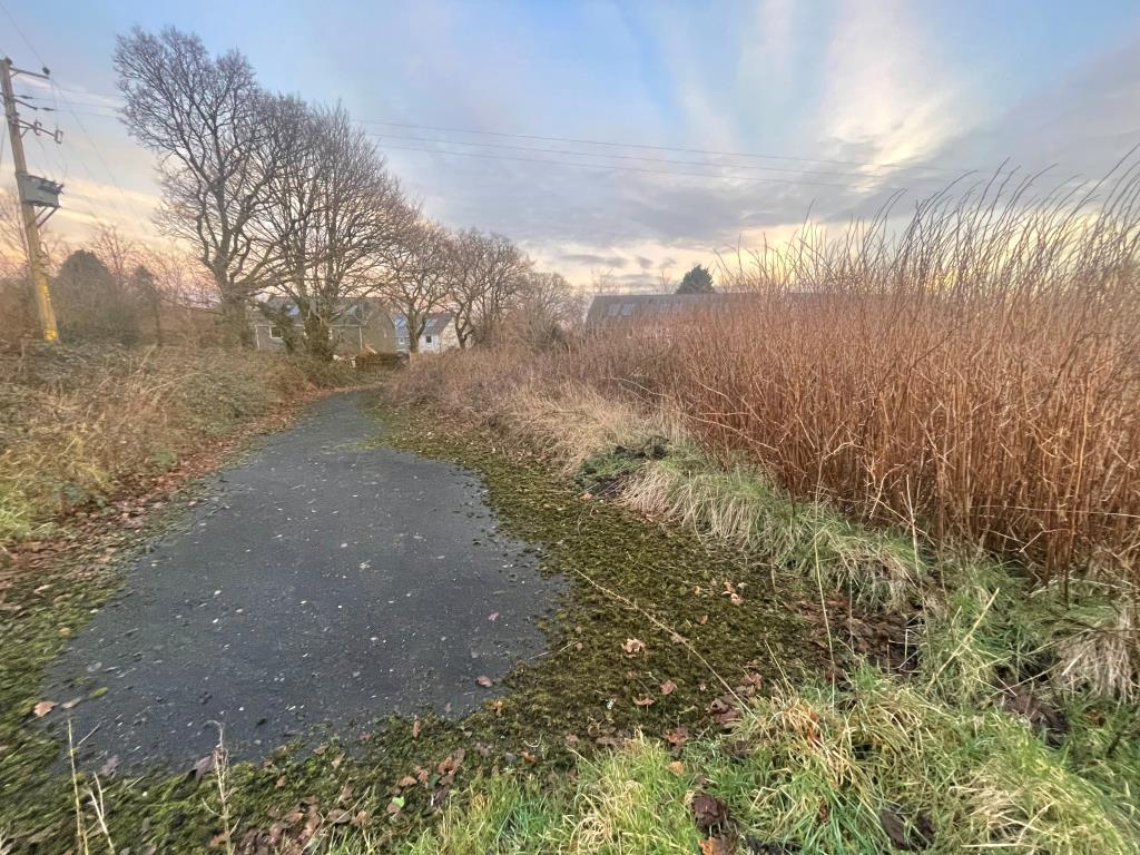 Overgrown land with roadway from alternative angle
