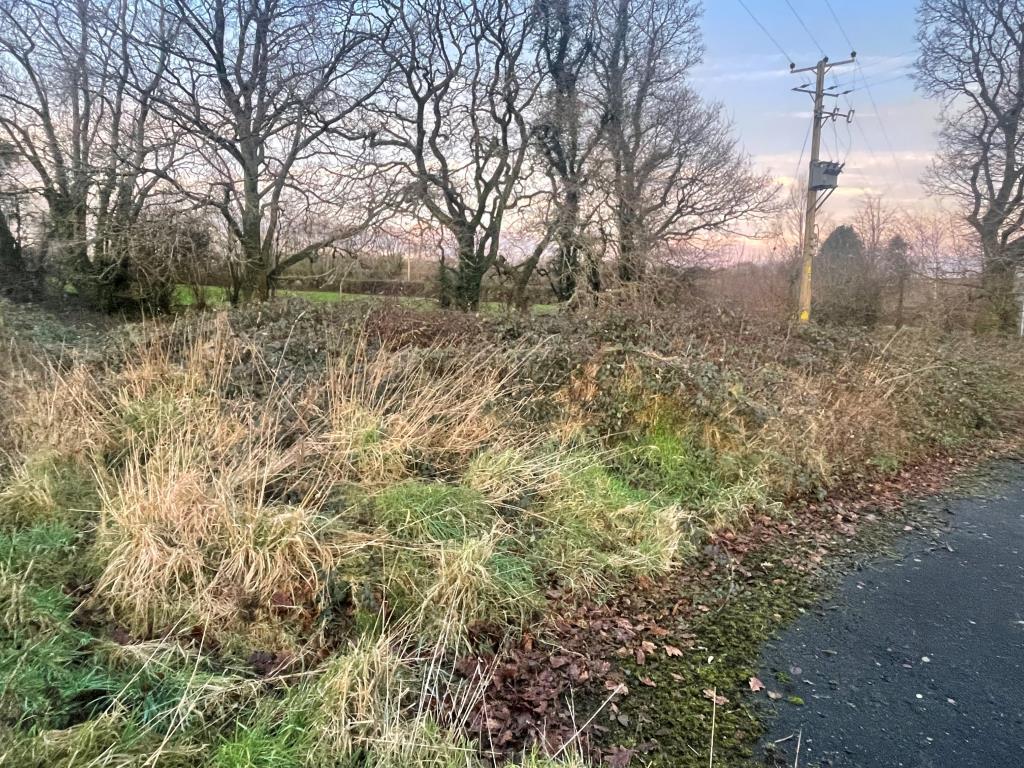 Land from different angle