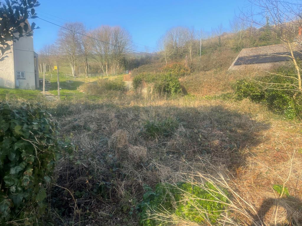 Overgrown land