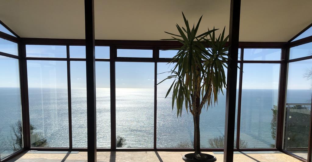 Looking Out From The Living Room
