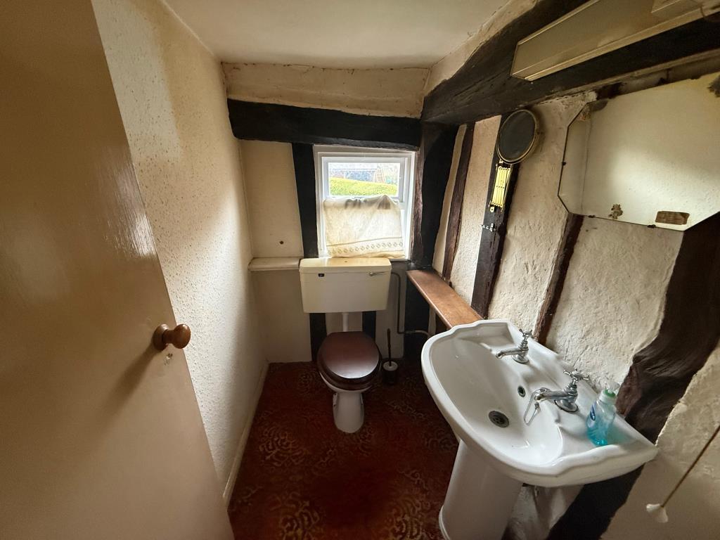 Toilet and sink