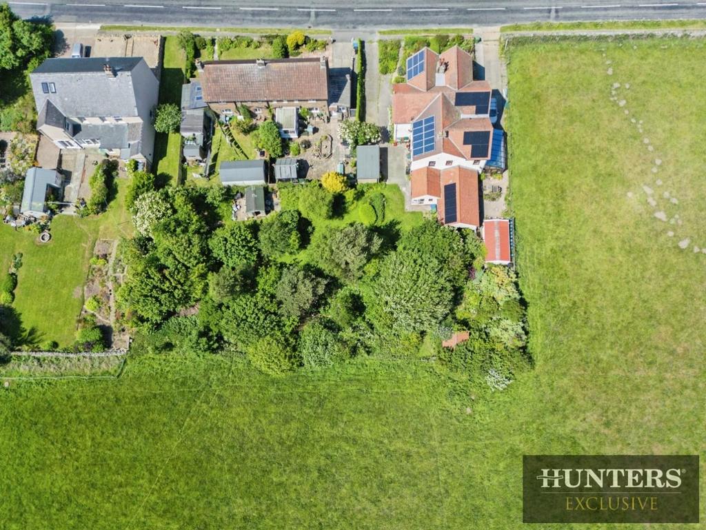 E4839e53-DJI 0678.jpg