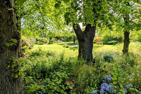 undefined, Chelmsford Road, Purleigh, Chelmsford, CM3