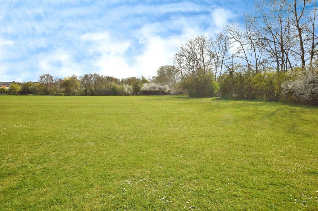 Field Views