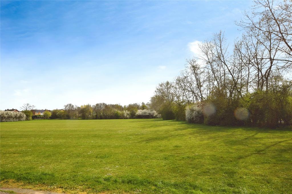 Field Views