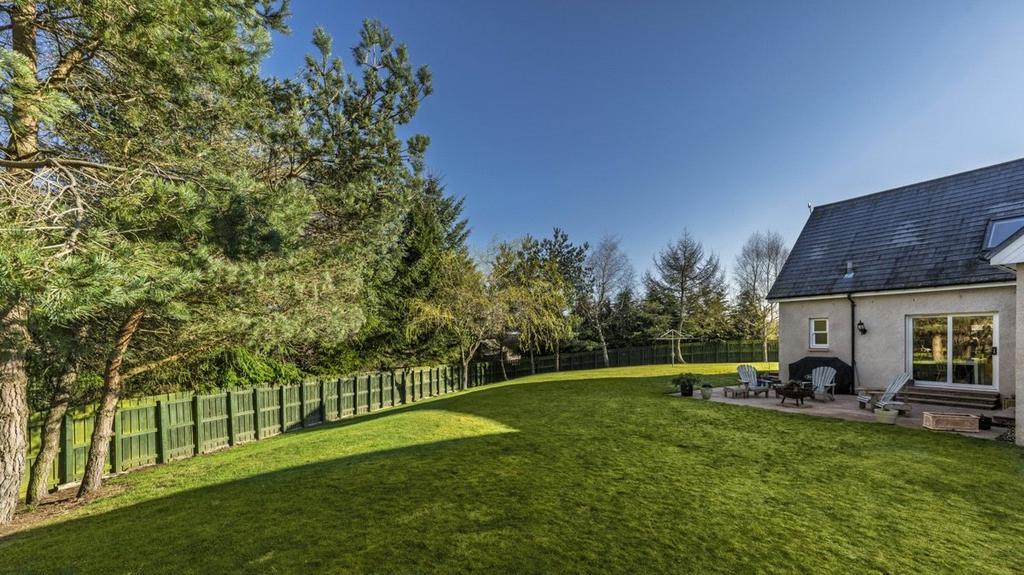 Garden/Patio