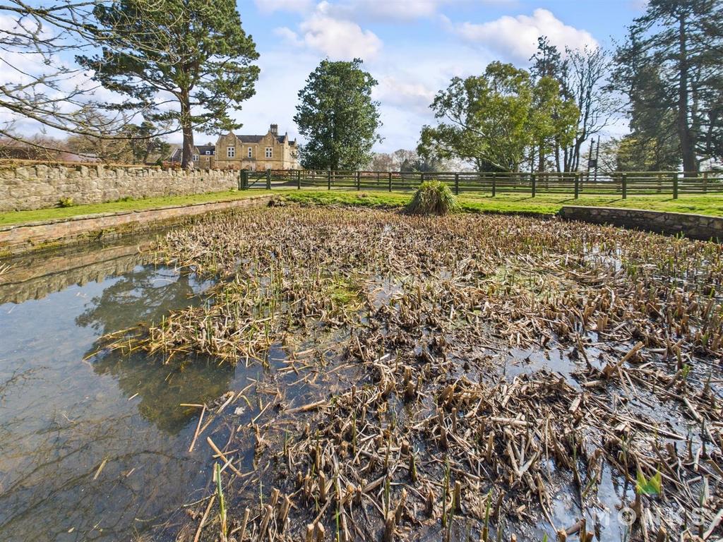 Feature Pond/ Garden
