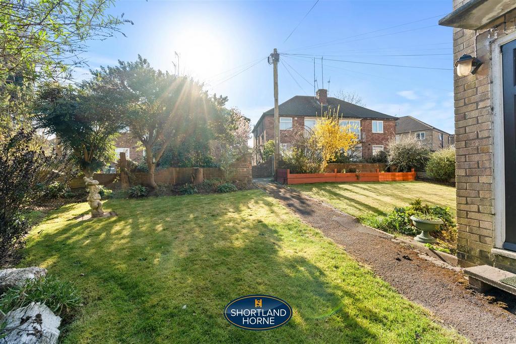 Back garden