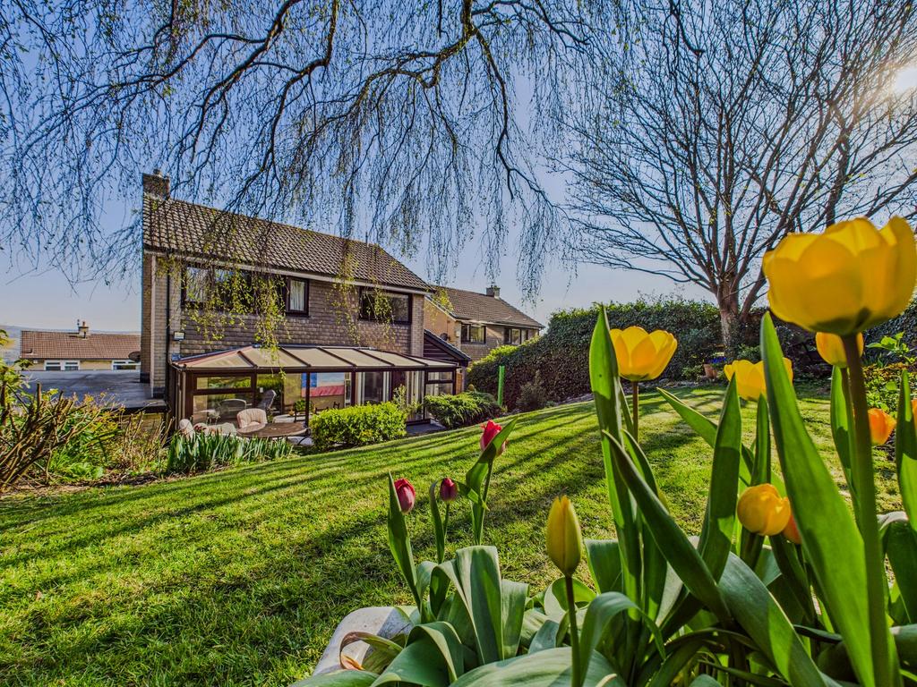 Rear Garden and Aspect