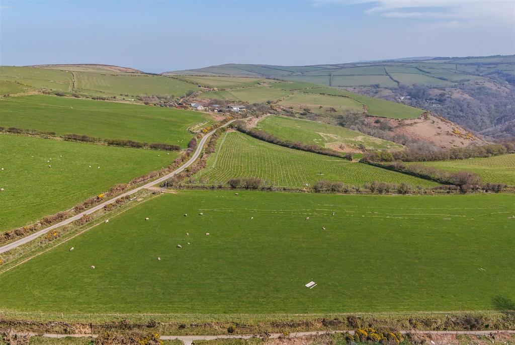 Drone View