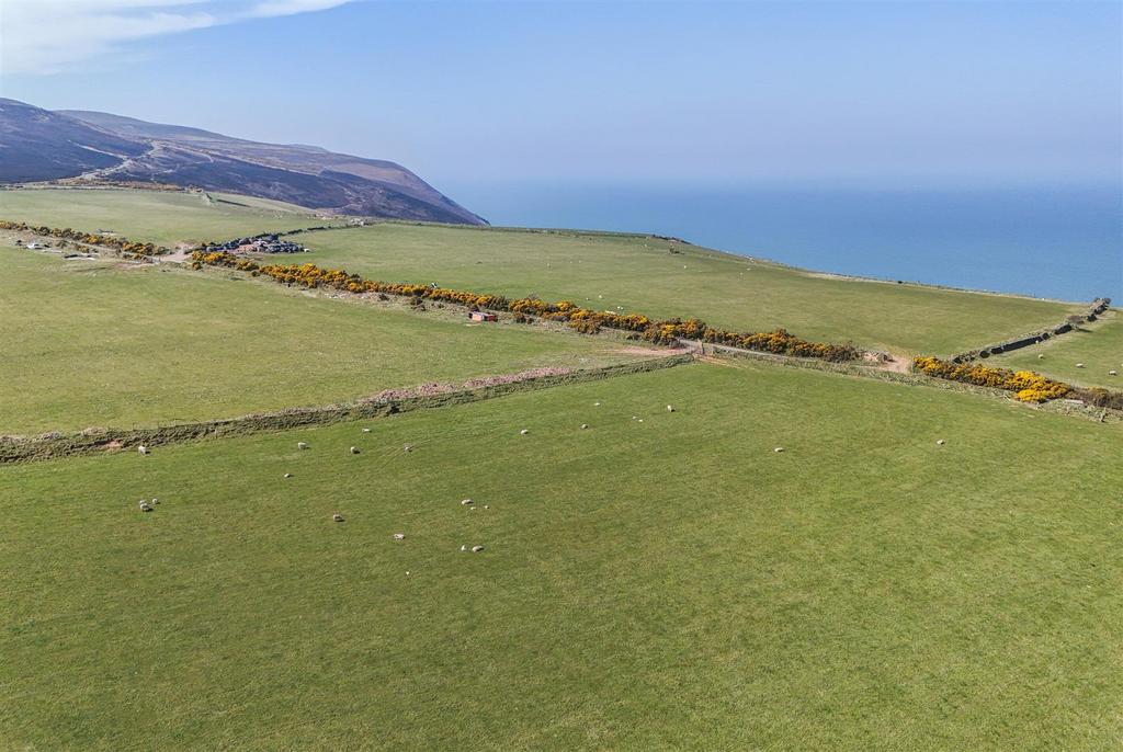 Drone View