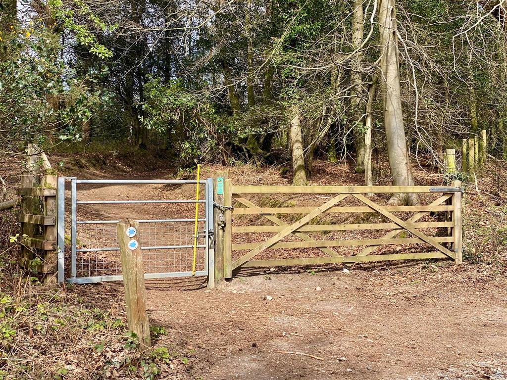Local Trail National Trust