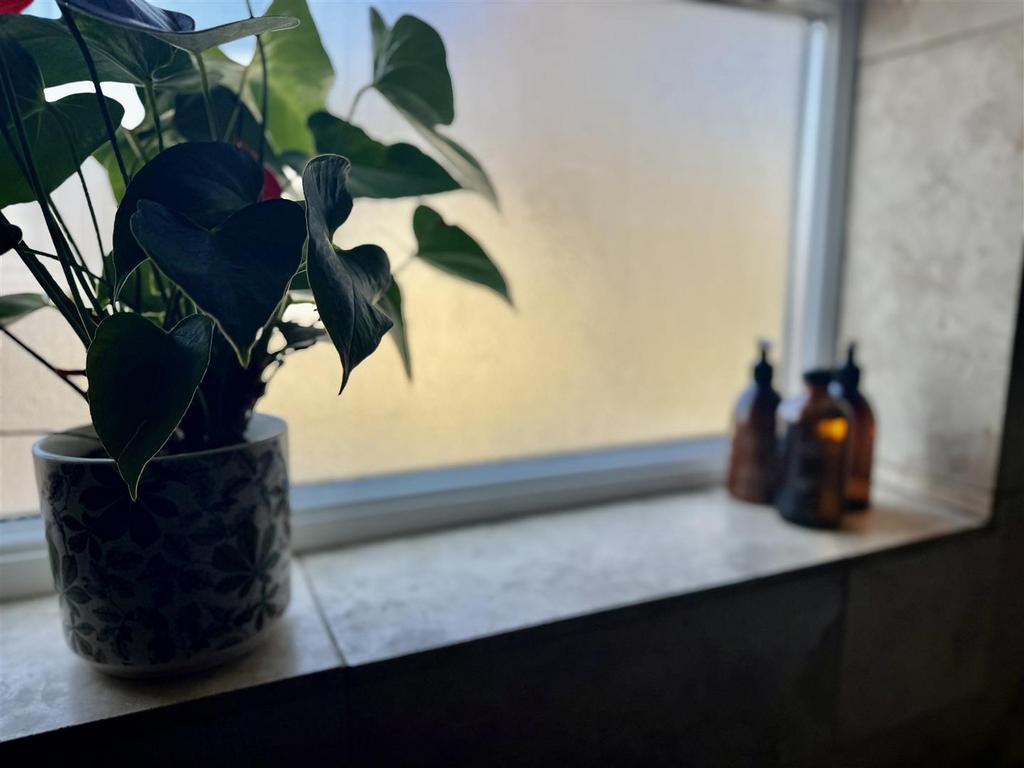 Bathroom/wc