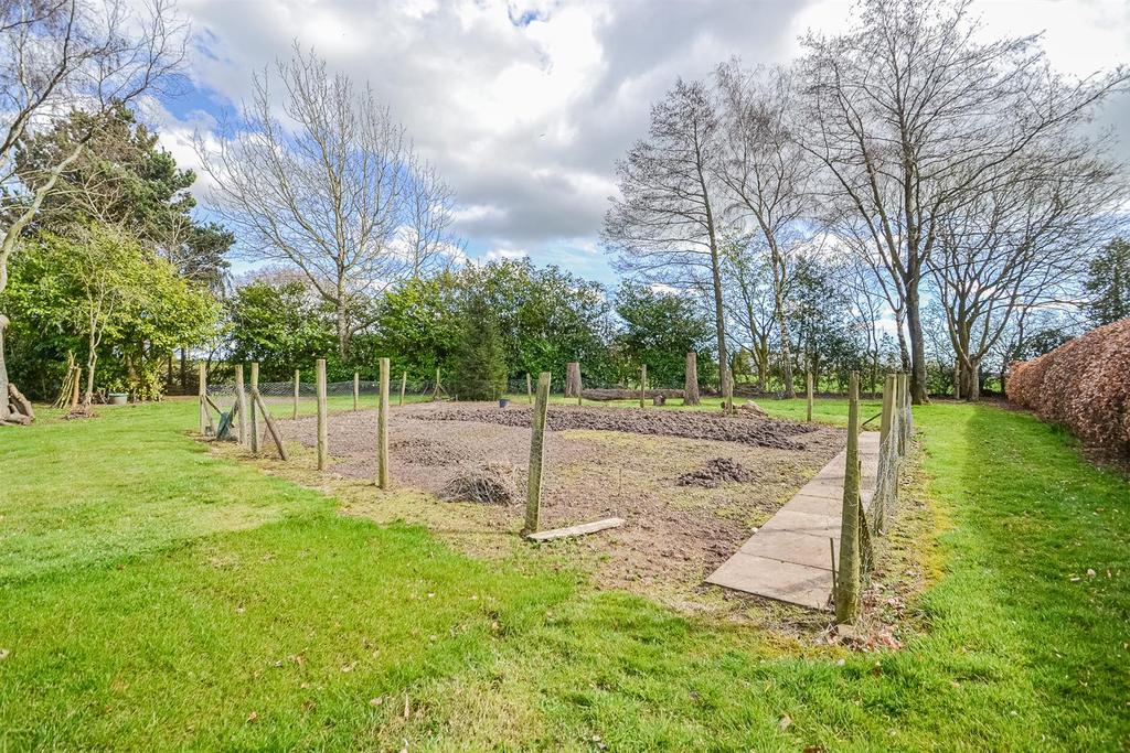 Vegetable Garden