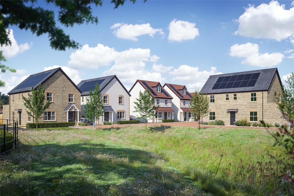 Great Oaks CGI