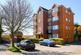 51 jemmett close front.jpg