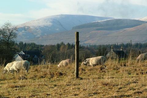 Plot for sale, Land, 30 metres North West of Sunnyside, Drum, KY13