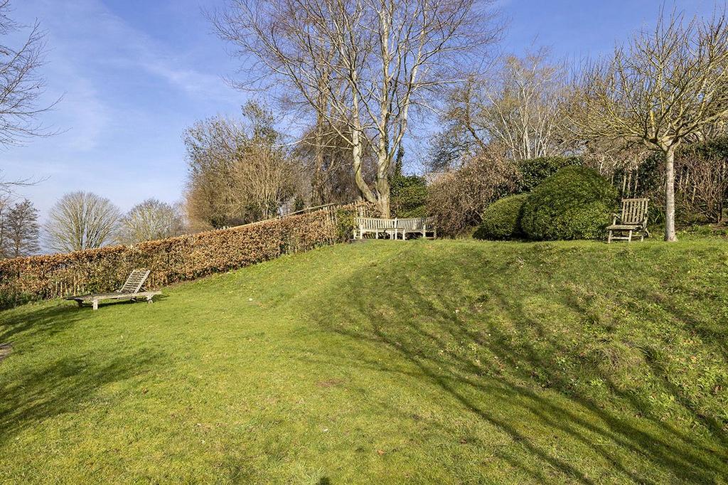 Lawn