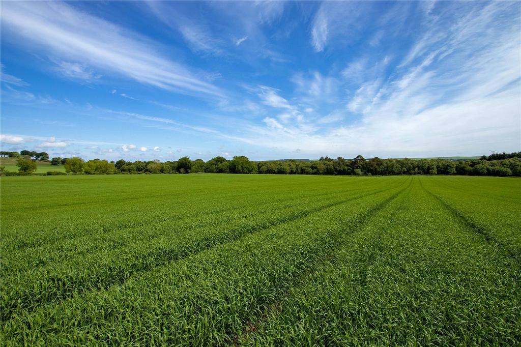 Arable Fields