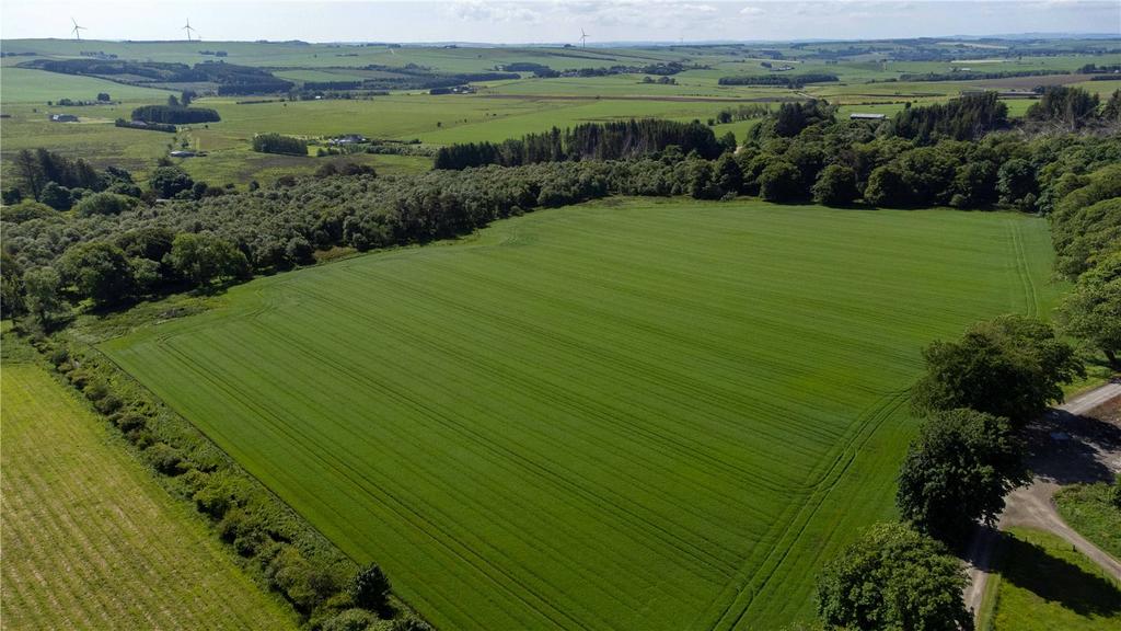 Agricultural Land