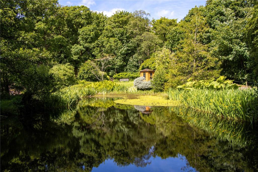 Pond