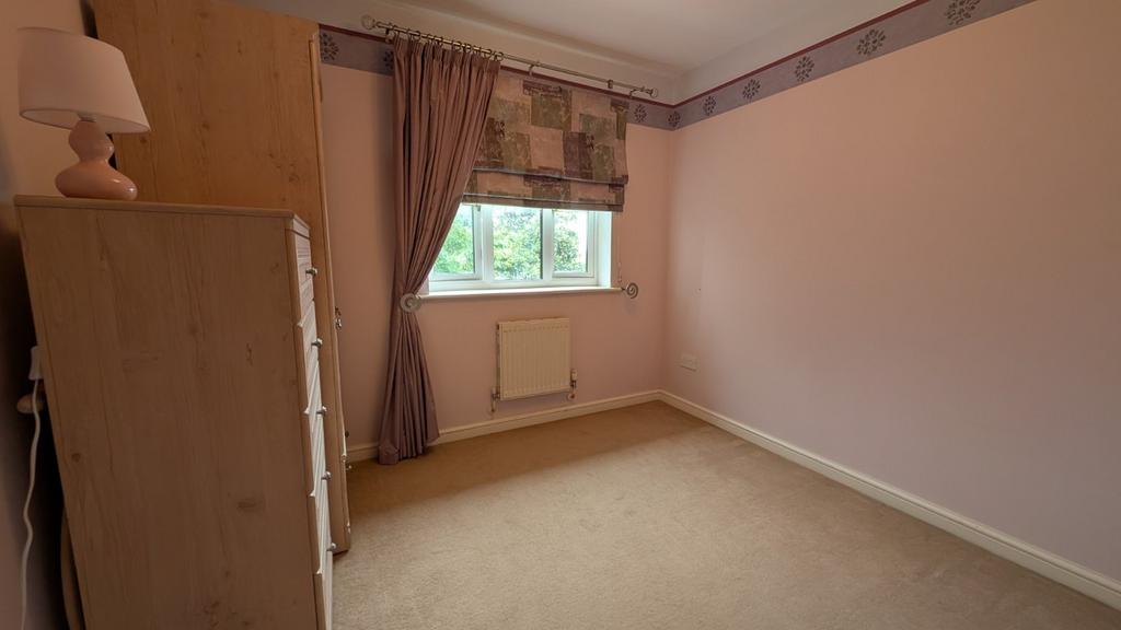 Picture 11