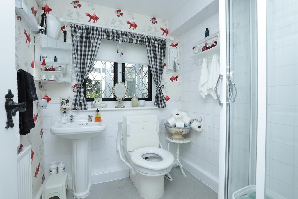 Picture 15