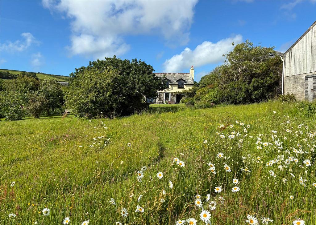 Wild Flower Meadow