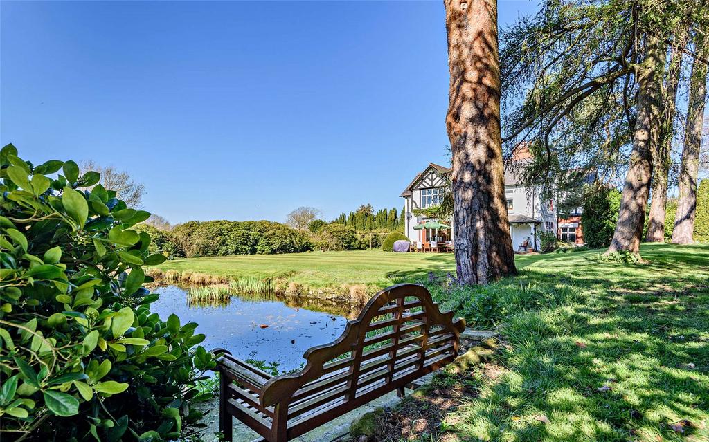 Garden &amp; Pond